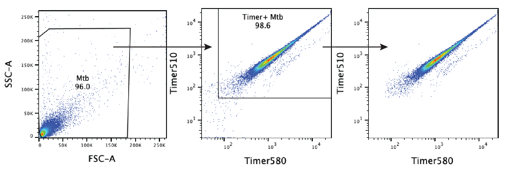 Supplementary Figure S7A